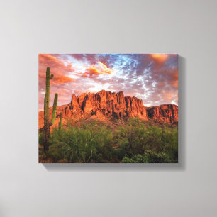 Saguaro Kaktus Aberglaube Berg Sonnenuntergang 14x Leinwanddruck