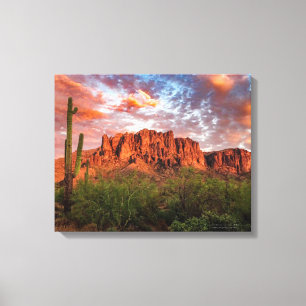 Saguaro Kaktus Aberglaube Berg Sonnenuntergang 20x Leinwanddruck
