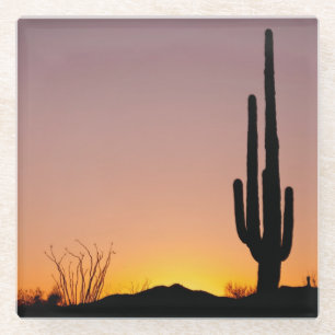 Saguaro-Kaktus am Sonnenuntergang Glasuntersetzer
