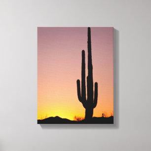 Saguaro-Kaktus am Sonnenuntergang Leinwanddruck