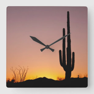 Saguaro-Kaktus am Sonnenuntergang Quadratische Wanduhr