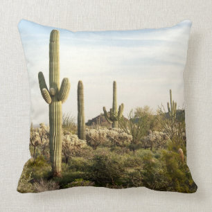 Saguaro-Kaktus, Arizona, USA Kissen
