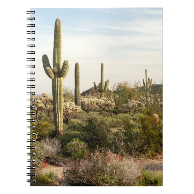 Saguaro-Kaktus, Arizona, USA Notizblock (Vorderseite)