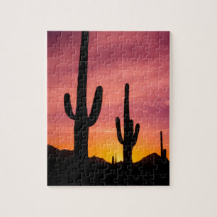 Saguaro-Kaktus bei Sonnenaufgang, Arizona