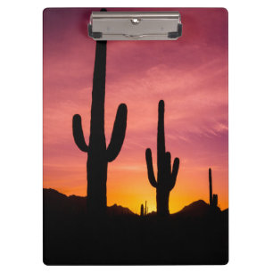 Saguaro-Kaktus bei Sonnenaufgang, Arizona Klemmbrett