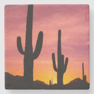 Saguaro-Kaktus bei Sonnenaufgang, Arizona Steinuntersetzer
