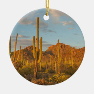 Saguaro-Kaktus bei Sonnenuntergang, Arizona Keramik Ornament