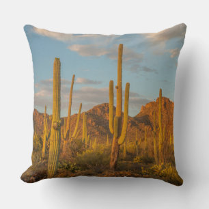 Saguaro-Kaktus bei Sonnenuntergang, Arizona Kissen