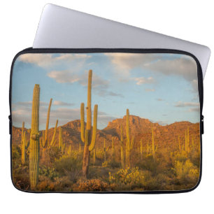 Saguaro-Kaktus bei Sonnenuntergang, Arizona Laptopschutzhülle