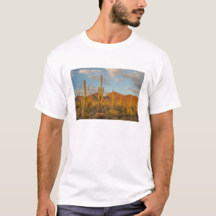 Saguaro-Kaktus bei Sonnenuntergang, Arizona T-Shirt