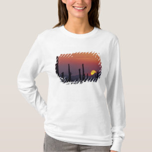 Saguaro-Kaktus Carnegiea gigantea), Sonnenuntergan T-Shirt