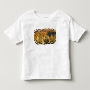 Saguaro-Kaktus im Saguaro-Nationalpark nahe Kleinkind T-shirt