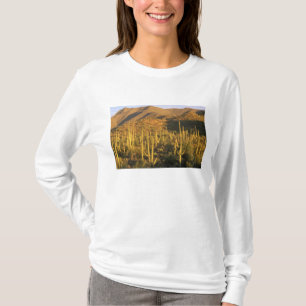 Saguaro-Kaktus im Saguaro-Nationalpark nahe T-Shirt