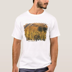 Saguaro-Kaktus im Saguaro-Nationalpark nahe T-Shirt