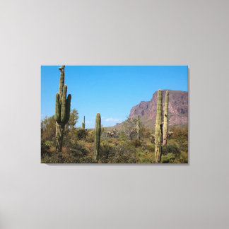 Saguaro-Kaktus in der Sonora-Wüste von Arizona Leinwanddruck