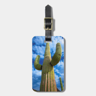 Saguaro-Kaktusporträt, Arizona Gepäckanhänger