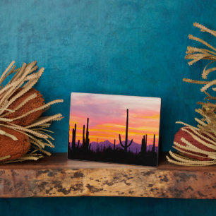 Saguaro-Kaktuswald bei Sonnenuntergang Fotoplatte