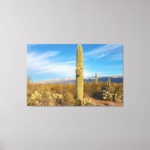 Saguaro Leinwanddruck