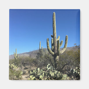 Saguaro Magnet