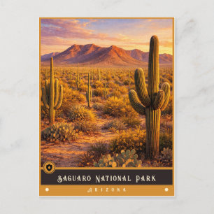 Saguaro National Park Arizona Vintage Postkarte