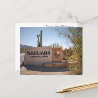 Saguaro Nationalpark, Arizona - Wüste