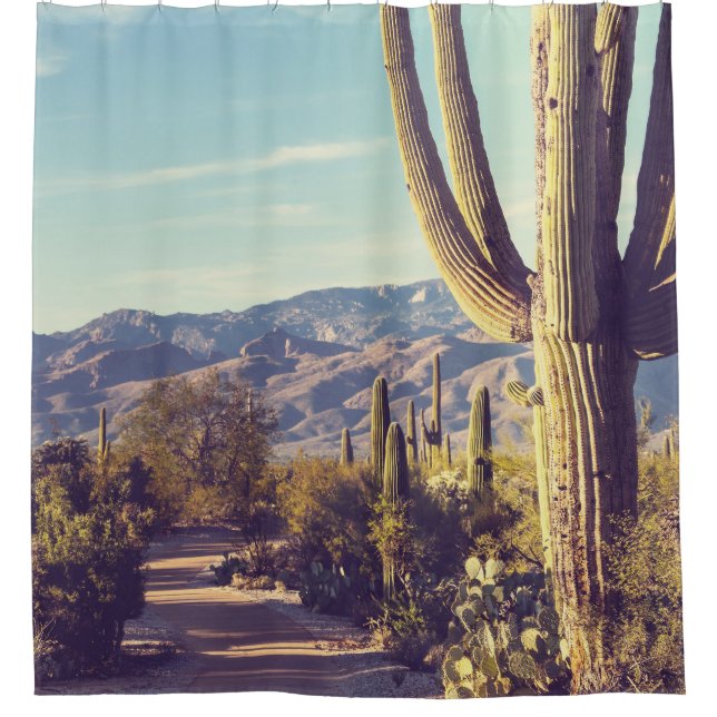 Saguaro Nationalpark, landschaftliche Vertretung. Duschvorhang (Vorderseite)