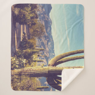 Saguaro Nationalpark, landschaftliche Vertretung. Sherpadecke