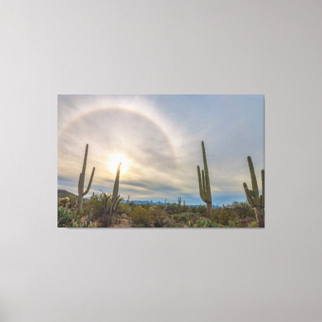 Saguaro-Nationalpark Leinwanddruck (Vorderseite)