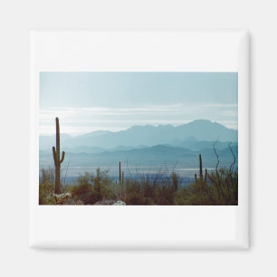 Saguaro-Nationalpark Magnet