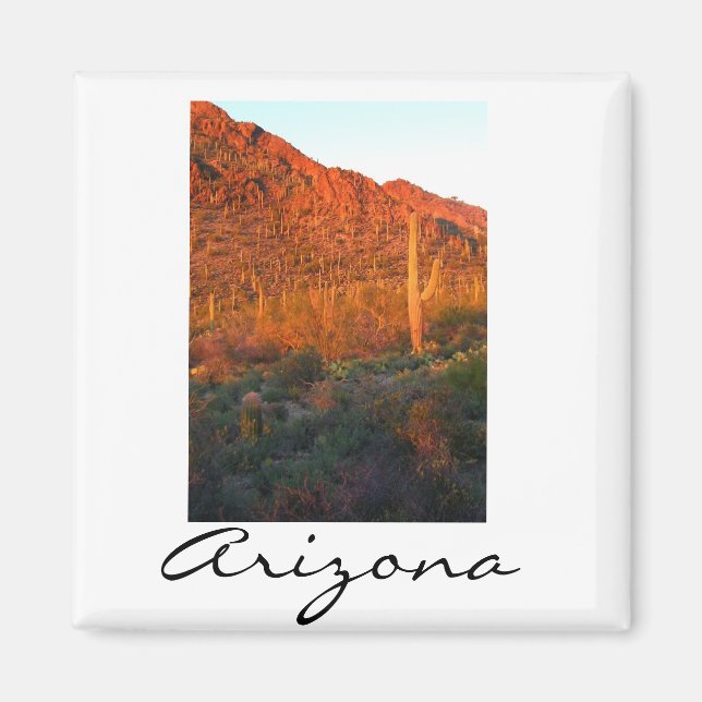 Saguaro Nationalpark Magnet (Vorne)