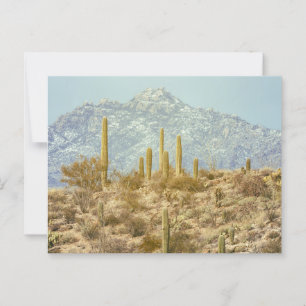 Saguaro Nationalpark mit Berg Postkarte