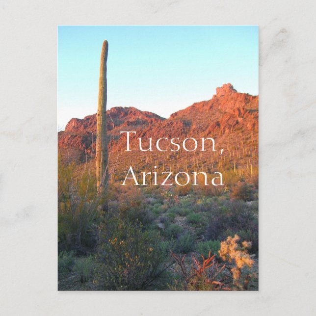 Saguaro Nationalpark Tucson, Arizona Postkarte (Vorderseite)