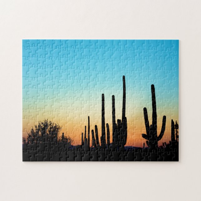 Saguaro-Sonnenuntergang (Horizontal)