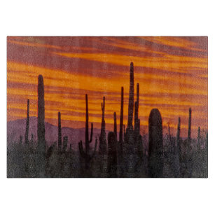 Saguaro, Sonnenuntergang, Nationalpark Saguaro Schneidebrett
