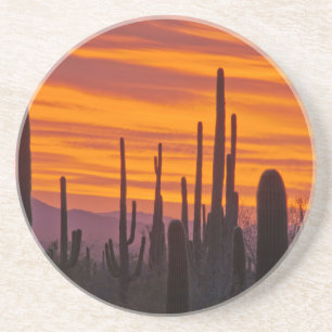 Saguaro, Sonnenuntergang, Saguaro National Park Sandstein Untersetzer