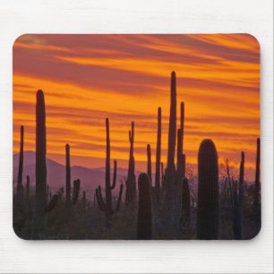 Saguaro, Sonnenuntergang, Saguaro-Nationalpark Mousepad