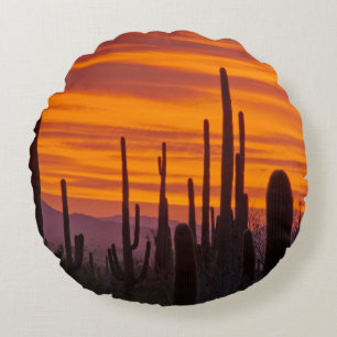 Saguaro, Sonnenuntergang, Saguaro-Nationalpark Rundes Kissen