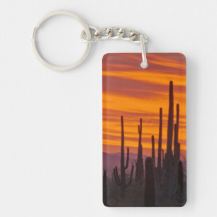 Saguaro, Sonnenuntergang, Saguaro-Nationalpark Schlüsselanhänger