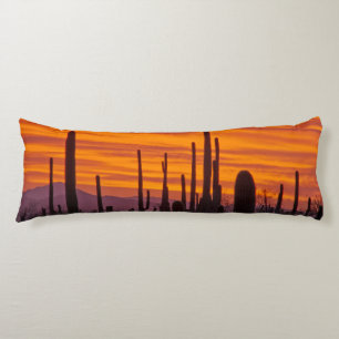 Saguaro, Sonnenuntergang, Saguaro-Nationalpark Seitenschläferkissen