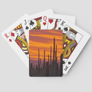 Saguaro, Sonnenuntergang, Saguaro-Nationalpark Spielkarten