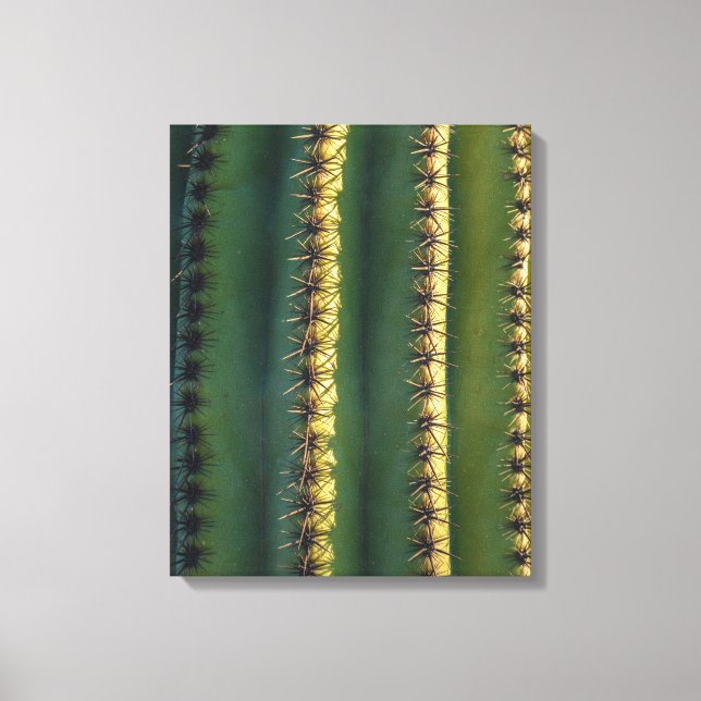 Saguaro Spines Leinwanddruck (Vorderseite)