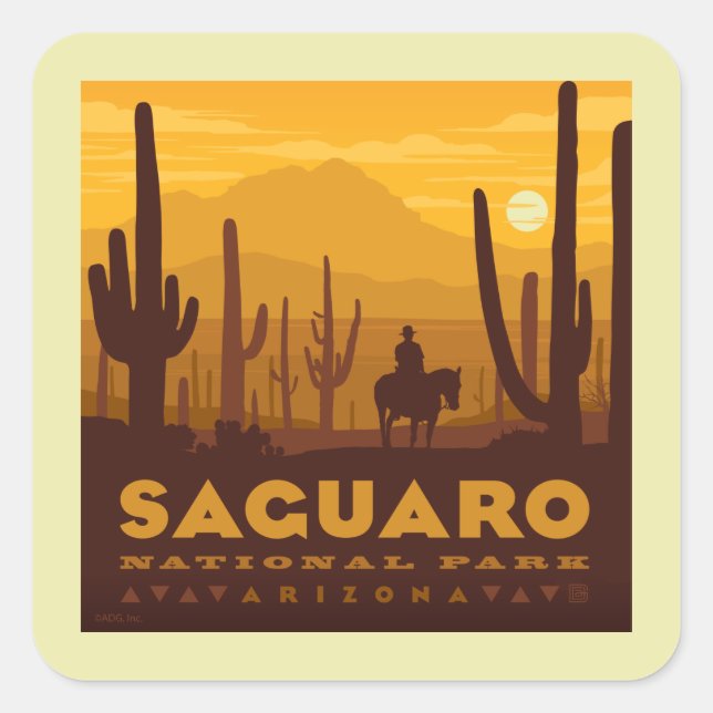 Saguaro Square Nationalpark | Arizona Quadratischer Aufkleber (Vorderseite)