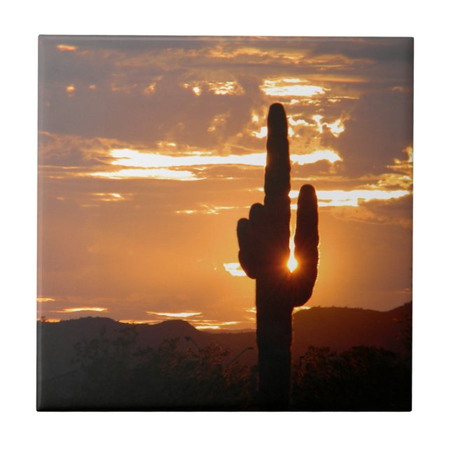 Saguaro-Strahlen Fliese (Vorderseite)