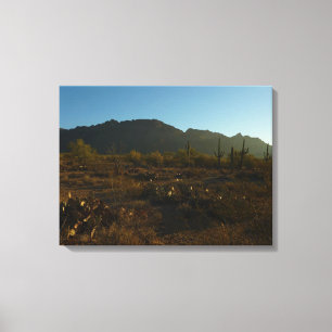 Saguaro Sunrise in Saguaro Nationalpark Leinwanddruck