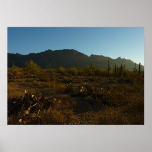 Saguaro Sunrise in Saguaro Nationalpark Poster