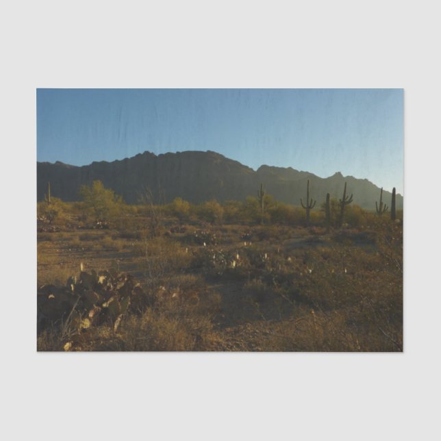 Saguaro Sunrise in Saguaro Nationalpark Seidenpapier (Vorderseite)