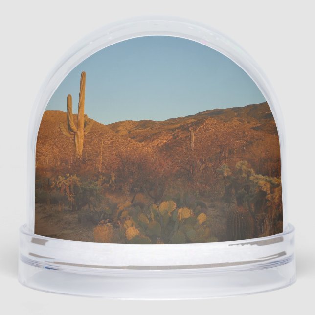 Saguaro Sunset I Arizona Desert Landscape (Avant)