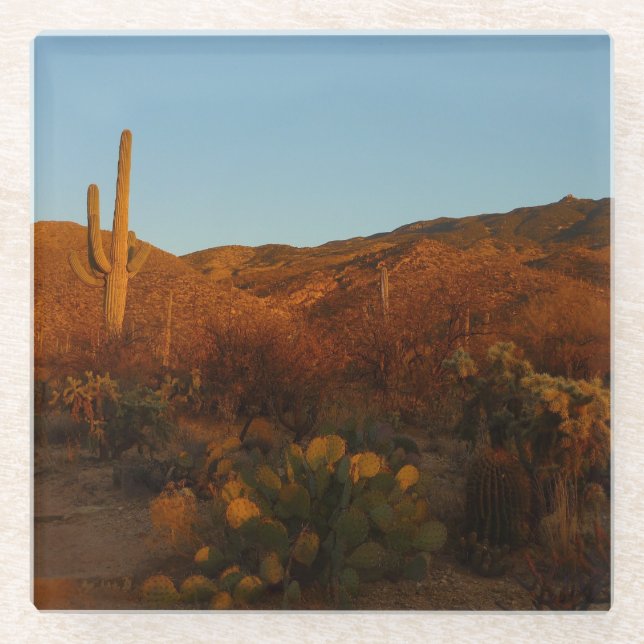 Saguaro Sunset I Arizona Desert Landscape Glasuntersetzer (Vorderseite)