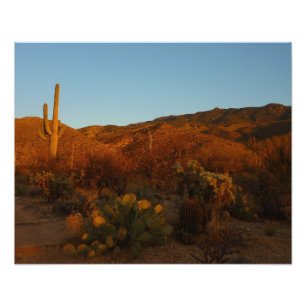 Saguaro Sunset I Arizona Wüste Landschaft Fotodruck