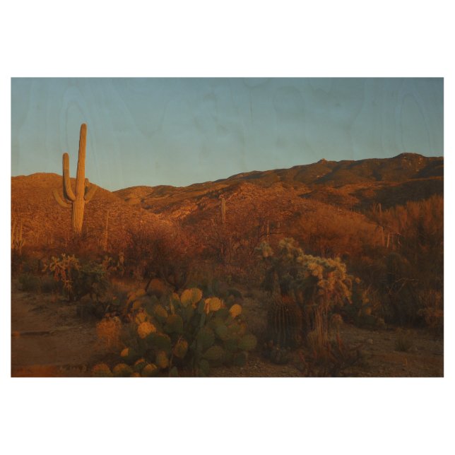 Saguaro Sunset I Arizona Wüste Landschaft Holzposter (Vorderseite)